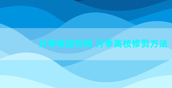 月季嫁接时间 月季高枝修剪方法